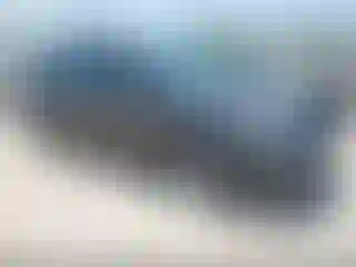 Vehicle Image- 2006 Toyota Prius