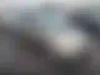 Vehicle Image- 2006 Toyota Prius