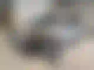 Vehicle Image- 2006 Toyota Prius