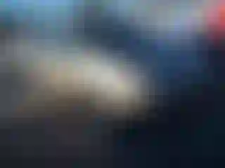 Vehicle Image- 2007 Toyota Prius