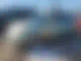 Vehicle Image- 2007 Toyota Prius