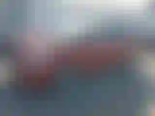 Vehicle Image- 2007 Toyota Prius