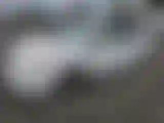 Vehicle Image- 2007 Toyota Prius