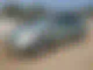 Vehicle Image- 2007 Toyota Prius