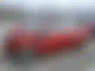 Vehicle Image- 2008 Toyota Prius
