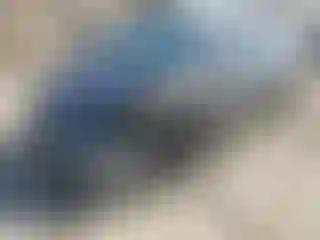 Vehicle Image- 2008 Toyota Prius