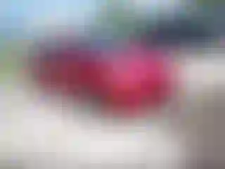Vehicle Image- 2008 Toyota Prius
