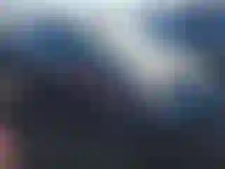 Vehicle Image- 2008 Toyota Prius