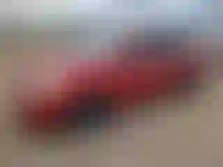 Vehicle Image- 2008 Toyota Prius