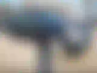 Vehicle Image- 2008 Toyota Prius