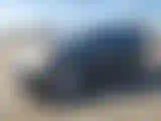 Vehicle Image- 2008 Toyota Prius