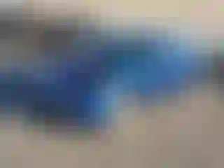 Vehicle Image- 2008 Toyota Prius