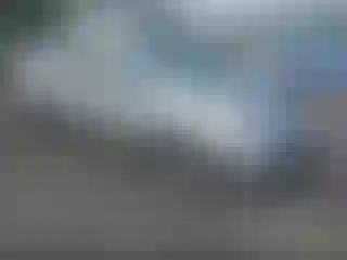 Vehicle Image- 2008 Toyota Prius