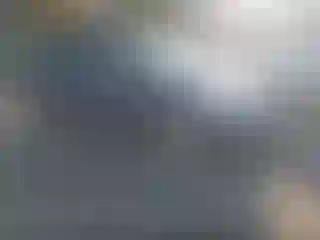 Vehicle Image- 2008 Toyota Prius