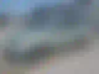 Vehicle Image- 2009 Toyota Prius