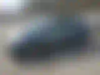 Vehicle Image- 2004 Toyota Prius