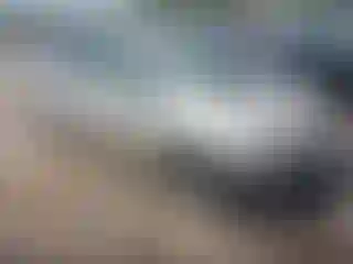 Vehicle Image- 2005 Toyota Prius