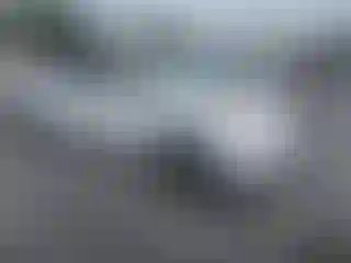 Vehicle Image- 2005 Toyota Prius