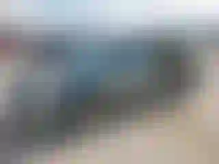Vehicle Image- 2005 Toyota Prius
