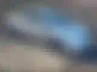 Vehicle Image- 2006 Toyota Prius