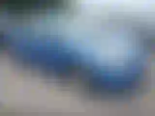 Vehicle Image- 2006 Toyota Prius