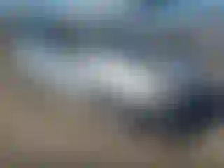 Vehicle Image- 2007 Toyota Prius