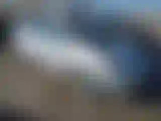 Vehicle Image- 2007 Toyota Prius