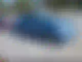 Vehicle Image- 2007 Toyota Prius