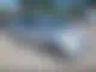 Vehicle Image- 2007 Toyota Prius