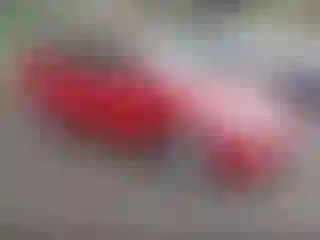 Vehicle Image- 2007 Toyota Prius