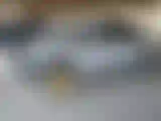 Vehicle Image- 2008 Toyota Prius
