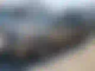 Vehicle Image- 2008 Toyota Prius