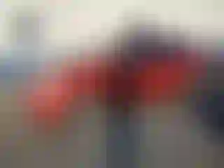 Vehicle Image- 2008 Toyota Prius