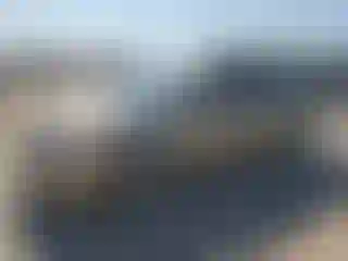 Vehicle Image- 2008 Toyota Prius