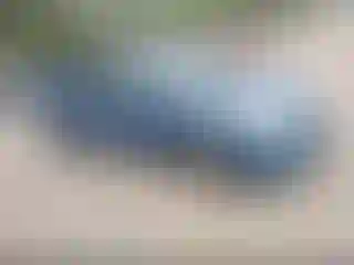 Vehicle Image- 2008 Toyota Prius