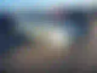 Vehicle Image- 2008 Toyota Prius