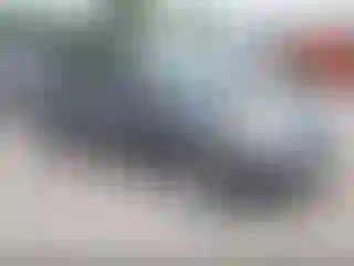 Vehicle Image- 2008 Toyota Prius