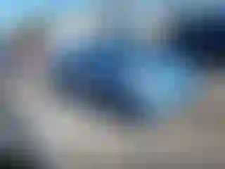 Vehicle Image- 2008 Toyota Prius