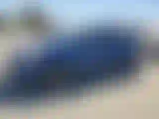 Vehicle Image- 2008 Toyota Prius