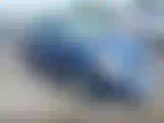 Vehicle Image- 2008 Toyota Prius
