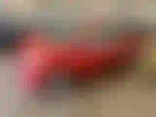 Vehicle Image- 2009 Toyota Prius