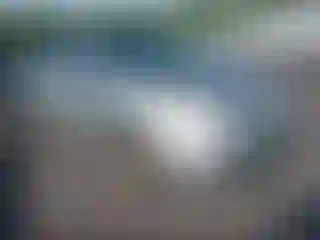 Vehicle Image- 2004 Toyota Prius