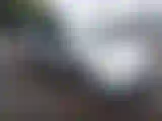 Vehicle Image- 2004 Toyota Prius