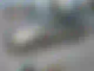 Vehicle Image- 2005 Toyota Prius