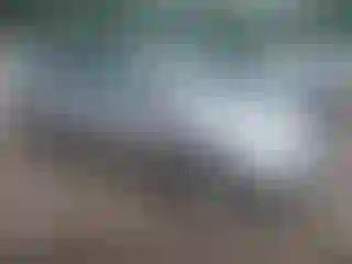Vehicle Image- 2005 Toyota Prius