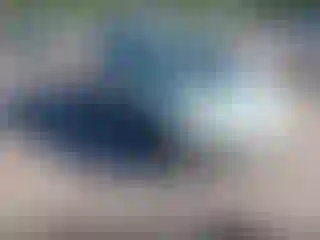 Vehicle Image- 2006 Toyota Prius