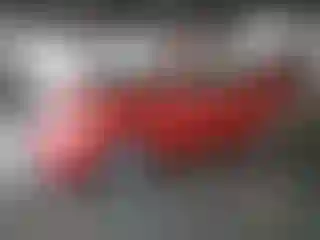 Vehicle Image- 2006 Toyota Prius