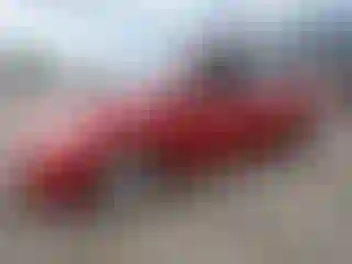 Vehicle Image- 2007 Toyota Prius