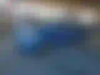 Vehicle Image- 2007 Toyota Prius