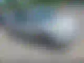 Vehicle Image- 2008 Toyota Prius